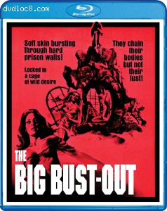 Big Bust-Out, The (Shout! Factory Exclusive - Limited Edition) [Blu-Ray] Cover