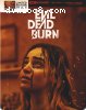 Evil Dead Burn (SteelBook / Limited Edition) [4K Ultra HD + Blu-ray + Digital 4K]
