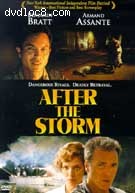 After The Storm Cover