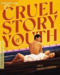 Cover Image for 'Cruel Story of Youth (Criterion) [4K Ultra HD + Blu-ray]'