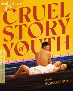 Cover Image for 'Cruel Story of Youth (Criterion)'