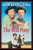 Red Pony, The