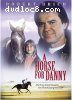 Horse for Danny, A